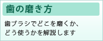 歯の磨き方